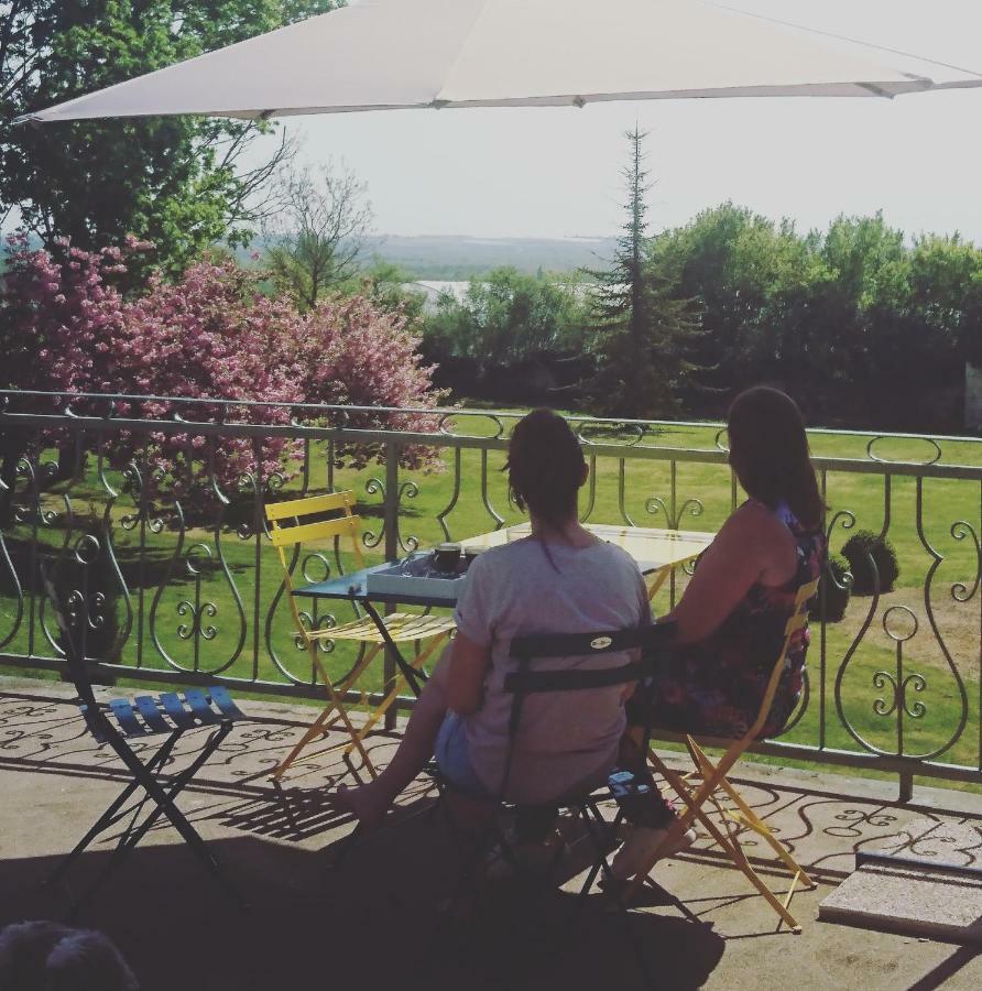 Domaine de Bourgville Monts-sur-Guesnes Extérieur photo