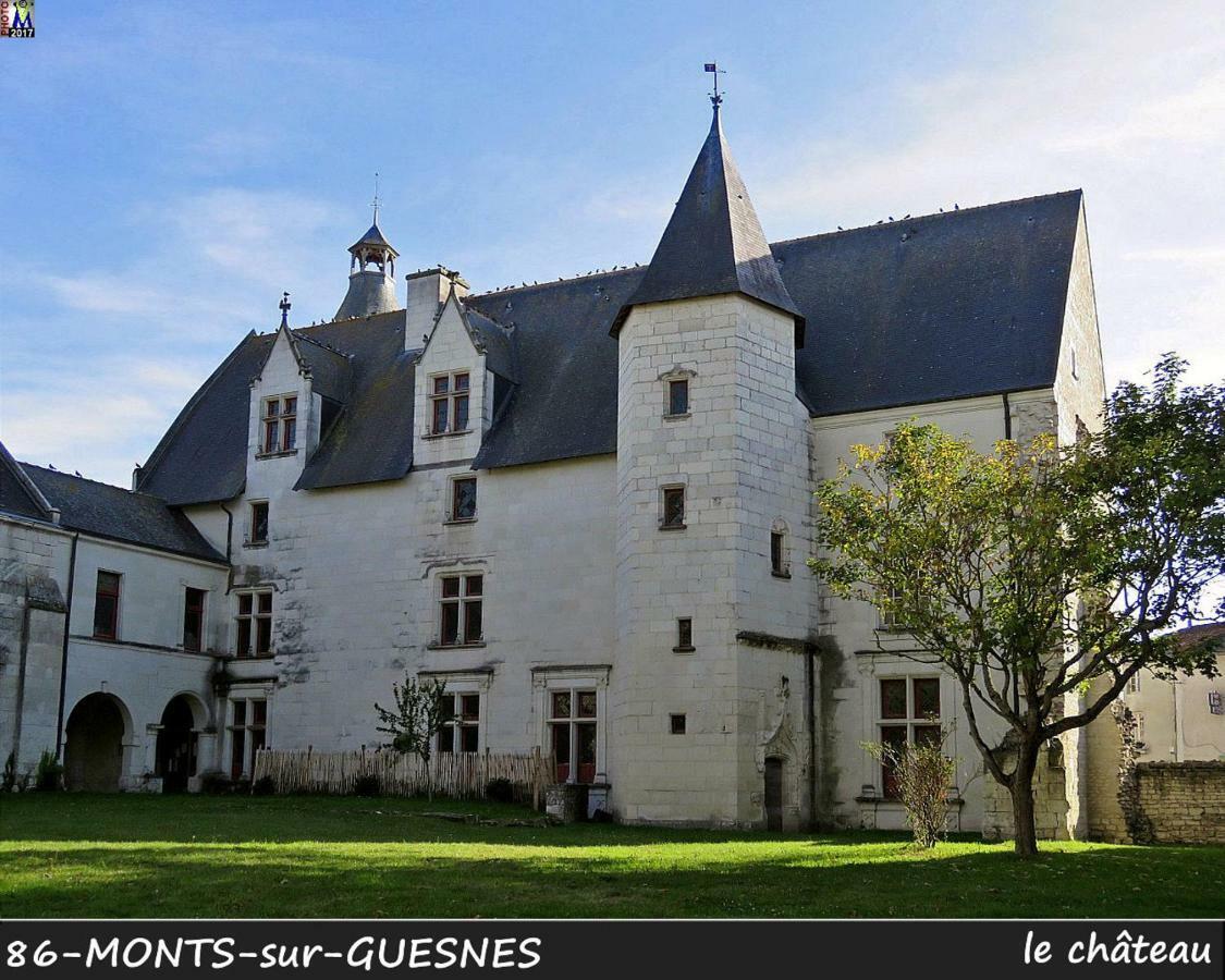 Domaine de Bourgville Monts-sur-Guesnes Extérieur photo